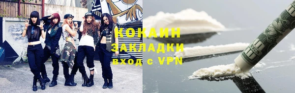 шишки Ельня