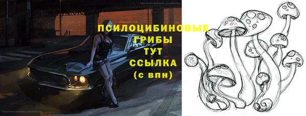 первитин Елабуга