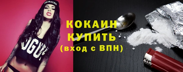шишки Ельня
