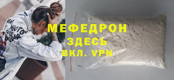 шишки Ельня