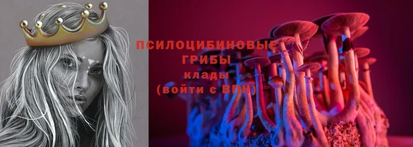 шишки Ельня