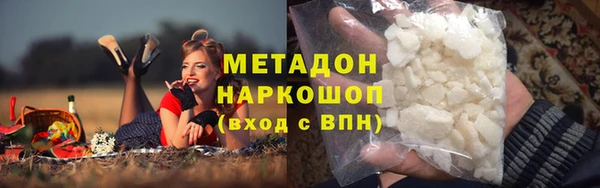 шишки Ельня