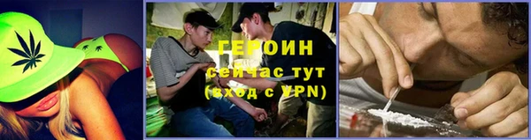 шишки Ельня