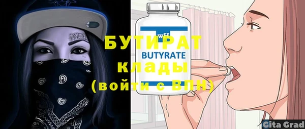 шишки Ельня