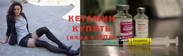 шишки Ельня