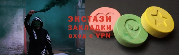 шишки Ельня