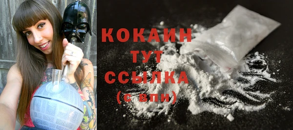 шишки Ельня