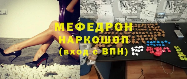 шишки Ельня
