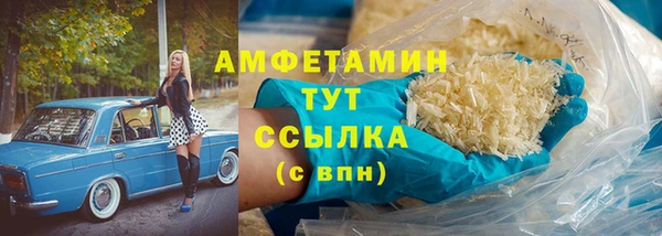 шишки Ельня