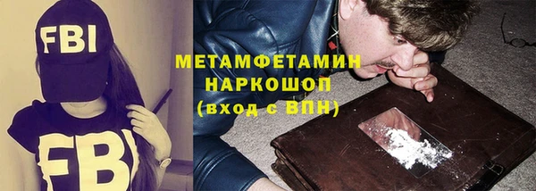 шишки Ельня