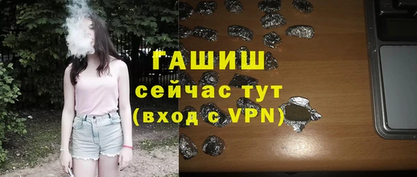 шишки Ельня
