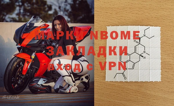 шишки Ельня