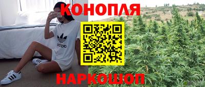 эйфоретик Краснодар