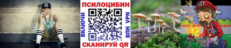 Псилоцибиновые грибы Magic Shrooms  Камышлов 
