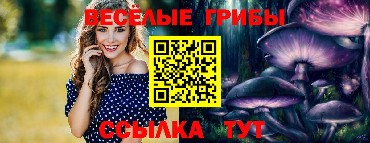 Галлюциногенные грибы прущие грибы Камышлов