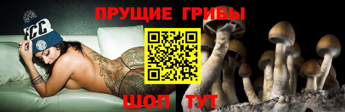 Камышлов  Галлюциногенные грибы мицелий  Вход с VPN  Псилоцибиновые грибы MAGIC MUSHROOMS 