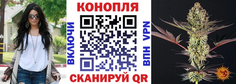 купить  цена  Камышлов  МАРИХУАНА гибрид 